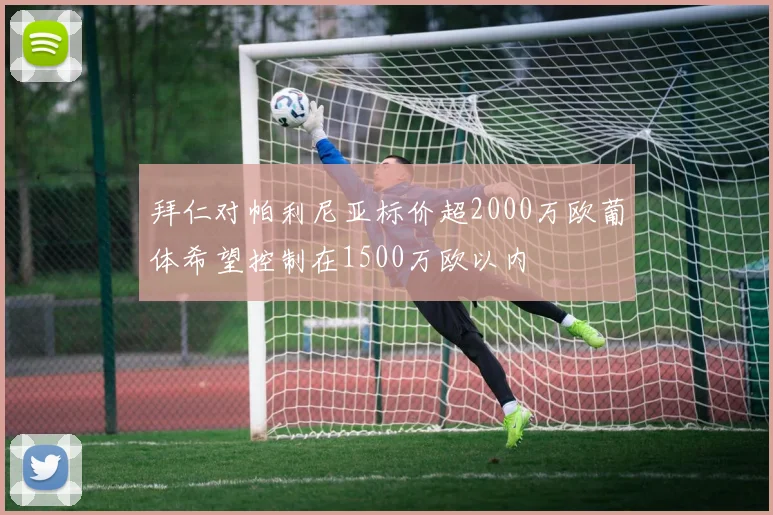 拜仁对帕利尼亚标价超2000万欧葡体希望控制在1500万欧以内
